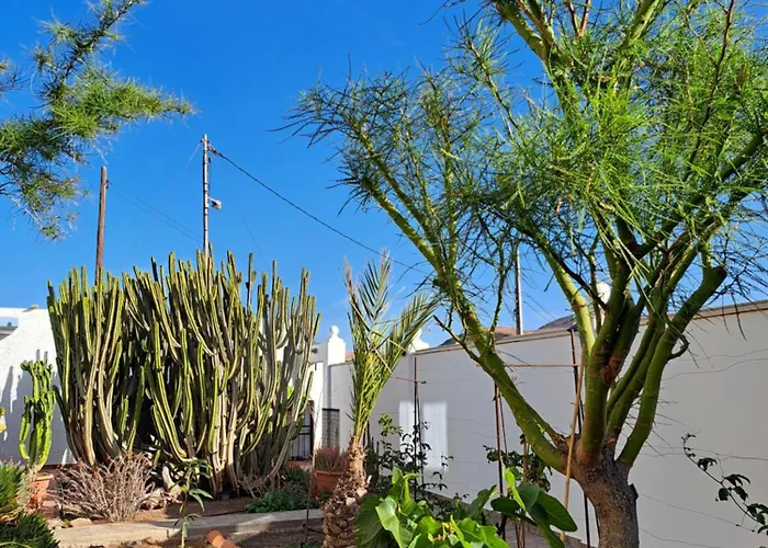 Sueno Rooftop Suite, Casa Coronel In La Lajita, Since 2026